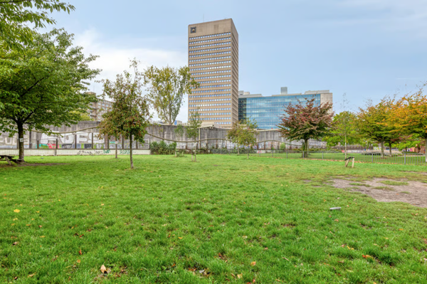 Medium property photo - Stroveer 193, 3032 GB Rotterdam